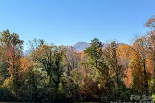 979 Howard Gap Rd, Tryon, NC 28782 - Photo 14