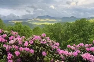 770 Discovery Pl, Sylva, NC 28779 - Photo 12