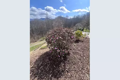 770 Discovery Place, Sylva, NC 28779 - Photo 20