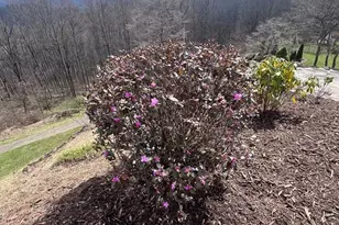 770 Discovery Pl, Sylva, NC 28779 - Photo 20