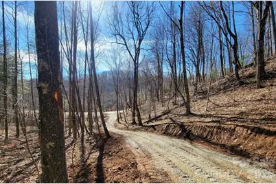 2166 Cove Creek Road, Waynesville, NC 28785 - Photo 10