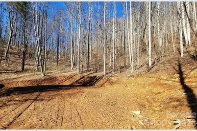 2166 Cove Creek Road, Waynesville, NC 28785 - Photo 8