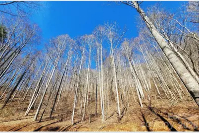 2166 Cove Creek Road, Waynesville, NC 28785 - Photo 6