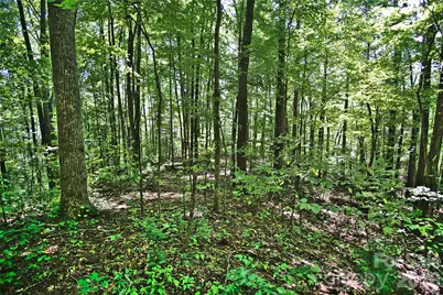 2166 Cove Creek Road, Waynesville, NC 28785 - Photo 4