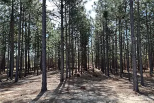 1266 Scott Rd, Kershaw, SC 29067 - Photo 2