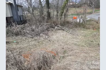 999999 Spring Brook Road, Woodfin, NC 28804 - Photo 1