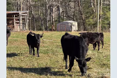 37 Cherokee Trail, Fletcher, NC 28732 - Photo 34