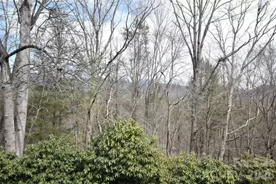 85 Homlish Gardens Drive, Waynesville, NC 28785 - Photo 8