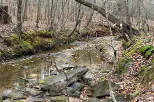 3465 Hwy 92 None, Enoree, SC 29335 - Photo 10