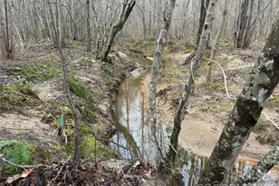 3465 Hwy 92 None, Enoree, SC 29335 - Photo 6