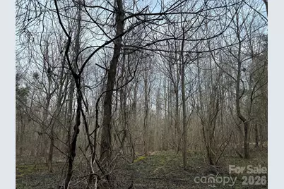 3465 Highway 92 None, Enoree, SC 29335 - Photo 2