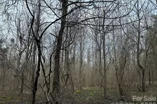 3465 Hwy 92 None, Enoree, SC 29335 - Photo 2