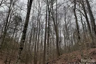 3465 Hwy 92 None, Enoree, SC 29335 - Photo 12