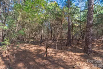 00 Cemetery Road #4, Fort Lawn, SC 29714 - Photo 22