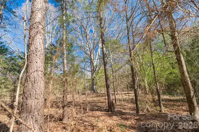 00 Cemetery Road #4, Fort Lawn, SC 29714 - Photo 16