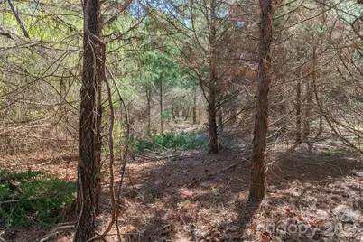 00 Cemetery Road #4, Fort Lawn, SC 29714 - Photo 12