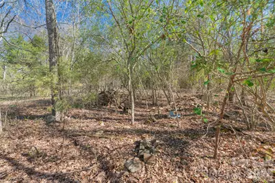 00 Cemetery Road #4, Fort Lawn, SC 29714 - Photo 10