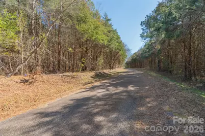 00 Cemetery Road #4, Fort Lawn, SC 29714 - Photo 4