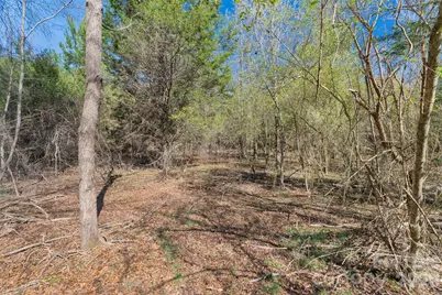 00 Cemetery Road #4, Fort Lawn, SC 29714 - Photo 14
