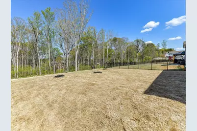 115 Reids Cove Drive, Mooresville, NC 28117 - Photo 32