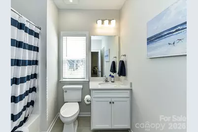 115 Reids Cove Drive, Mooresville, NC 28117 - Photo 30