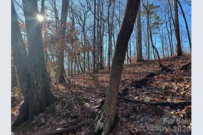 Lot 79 Tealwood Court #79, Norwood, NC 28128 - Photo 4