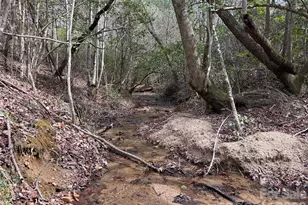 2524 Curt Ledford Rd, Lawndale, NC 28090 - Photo 24