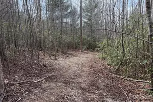 2524 Curt Ledford Rd, Lawndale, NC 28090 - Photo 22