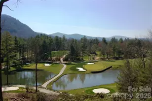 40 Blackberry Trail, Sapphire, NC 28774 - Photo 42