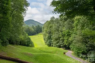 40 Blackberry Trail, Sapphire, NC 28774 - Photo 2