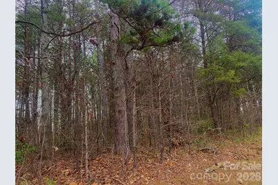 302 Lewis Ferry Road, Statesville, NC 28677 - Photo 2