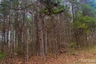 302 Lewis Ferry Rd, Statesville, NC 28677 - Photo 2