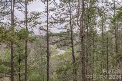 25 Sage Drive, Weaverville, NC 28787 - Photo 30