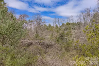25 Sage Drive, Weaverville, NC 28787 - Photo 16