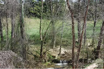 00 Moriah School Road, Casar, NC 28020 - Photo 4