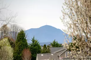 83 E Swift Creek Rd, Fletcher, NC 28732 - Photo 26