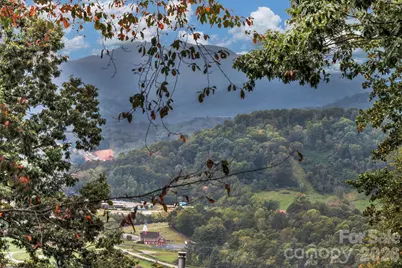 283 Blake Drive, Canton, NC 28716 - Photo 46