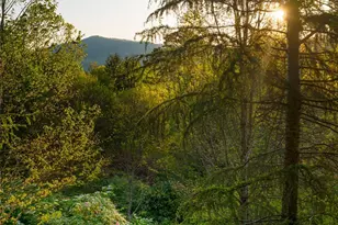 66 N Deerhaven Ln, Asheville, NC 28803 - Photo 42