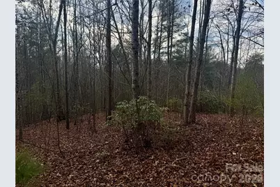 913 High Valley Way #913, Lenoir, NC 28645 - Photo 10