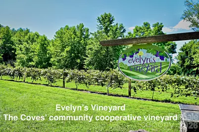 913 High Valley Way #913, Lenoir, NC 28645 - Photo 40