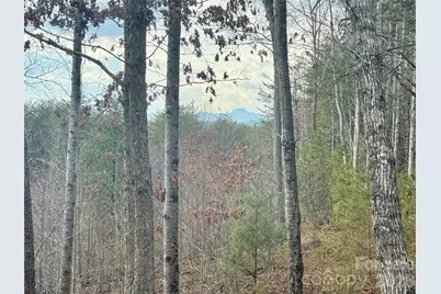 913 High Valley Way #913, Lenoir, NC 28645 - Photo 12