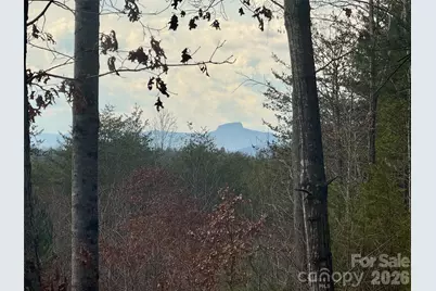 913 High Valley Way #913, Lenoir, NC 28645 - Photo 8