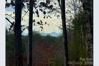 913 High Valley Way #913, Lenoir, NC 28645 - Photo 2