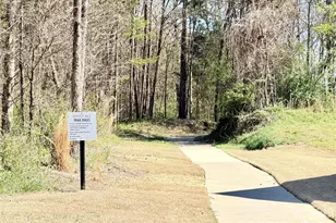 10034 Sweetbriar Rose Ct, Huntersville, NC 28078 - Photo 42