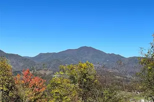 114 Nesting Ridge, Waynesville, NC 28785 - Photo 2