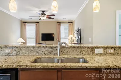 18210 Ebenezer Drive, Cornelius, NC 28031 - Photo 18