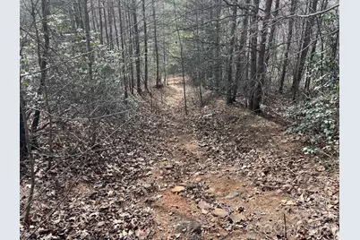 24 Katies Way, Nebo, NC 28761 - Photo 2