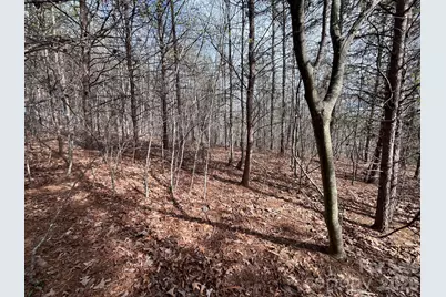 24 Katies Way, Nebo, NC 28761 - Photo 10