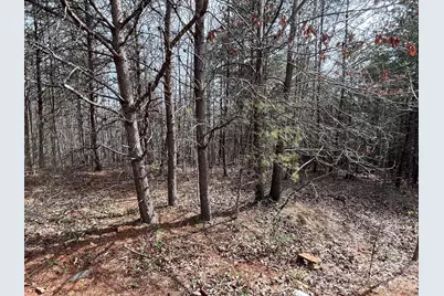 24 Katies Way, Nebo, NC 28761 - Photo 8