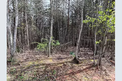 24 Katies Way, Nebo, NC 28761 - Photo 6